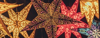 Weihnachtssterne auf Weihnachtsmarkt im Allgäu - Alpsee Camping Immenstadt