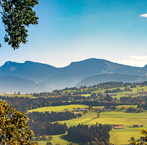 Blick auf die Nagelfluhkette - Alpsee Camping Immenstadt
