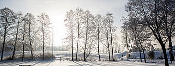 natur rund um den verschneiten alpsee im allgäu