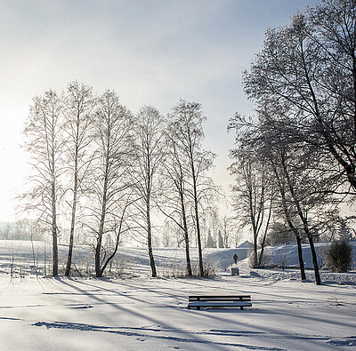 natur rund um den verschneiten alpsee im allgäu