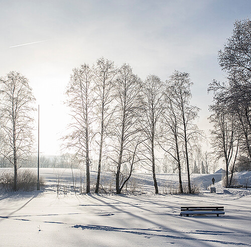 natur rund um den verschneiten alpsee im allgäu