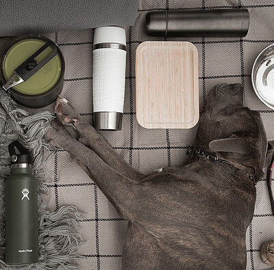 Campingurlaub mit Hund - Campingequipment - Alpsee Camping Immenstadt