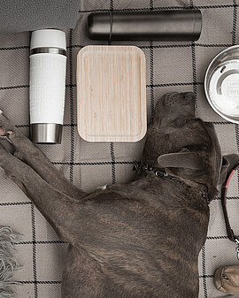 Campingurlaub mit Hund - Campingequipment - Alpsee Camping Immenstadt