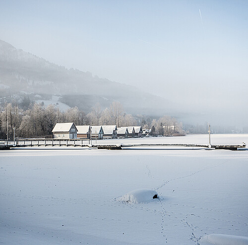 Alpsee im Schnee - Alpsee Camping im Allgäu