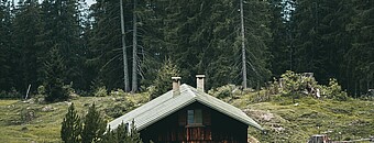 Einsame Hütte im Wald - Alpsee Camping Immenstadt
