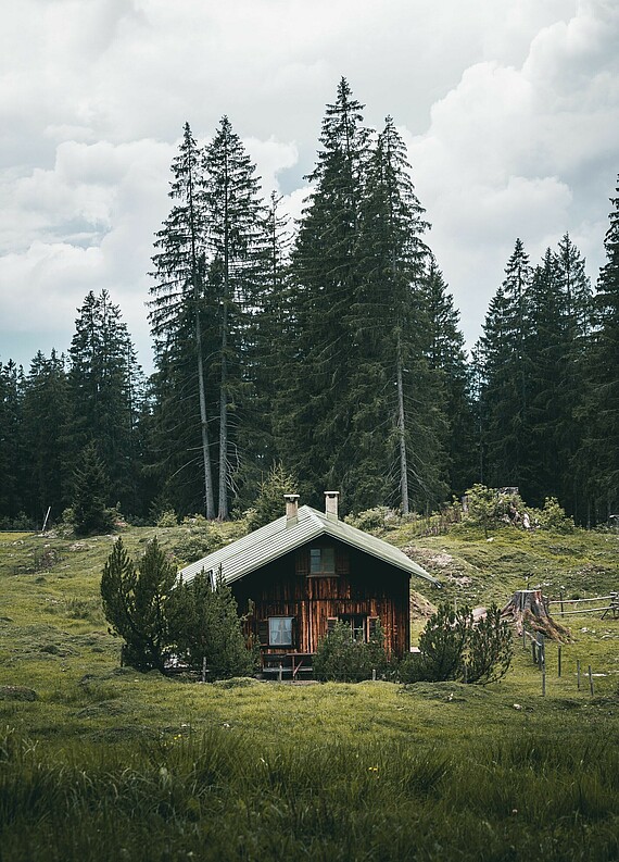 Einsame Hütte im Wald - Alpsee Camping Immenstadt