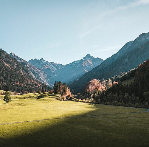 Bergpanorama im Herbst - Alpsee Camping Immenstadt