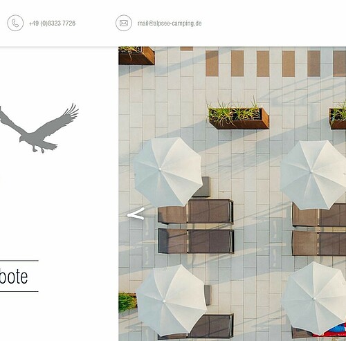 Alpsee Camping Immenstadt mit neuer Website