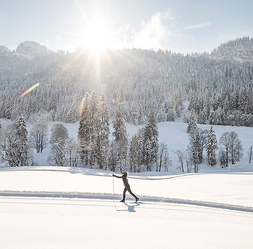 Langlaufen im Allgäu - Alpsee Campingplatz Immenstadt