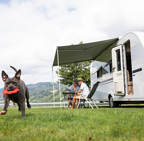 Campingplatz mit Hund und Camper | 5 Sterne Campingplatz Alpsee Camping im Allgäu