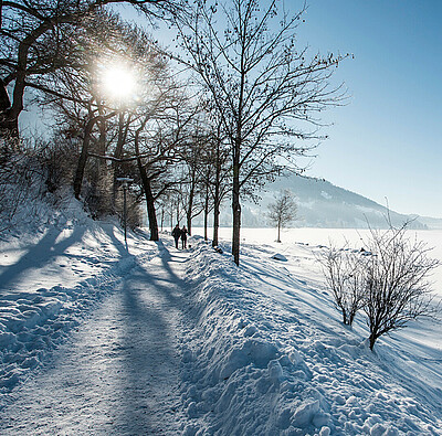 campen im winter am alpsee