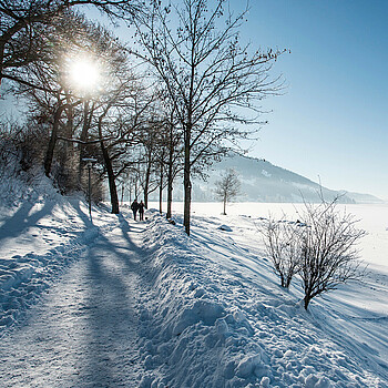 campen im winter am alpsee