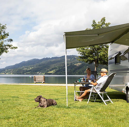 Direkter Seezugang im Alpsee Camping Immenstadt