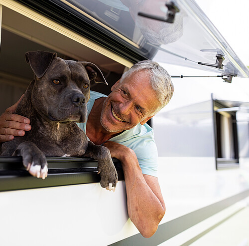 urlaub mit hund im camper
