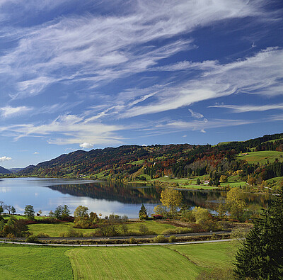 aussicht auf den alpsee