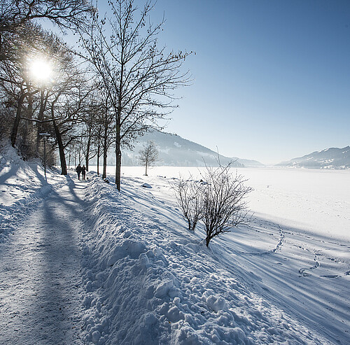 Winterspaziergang am Alpsee im Allgäu - Alpsee Camping Immenstadt