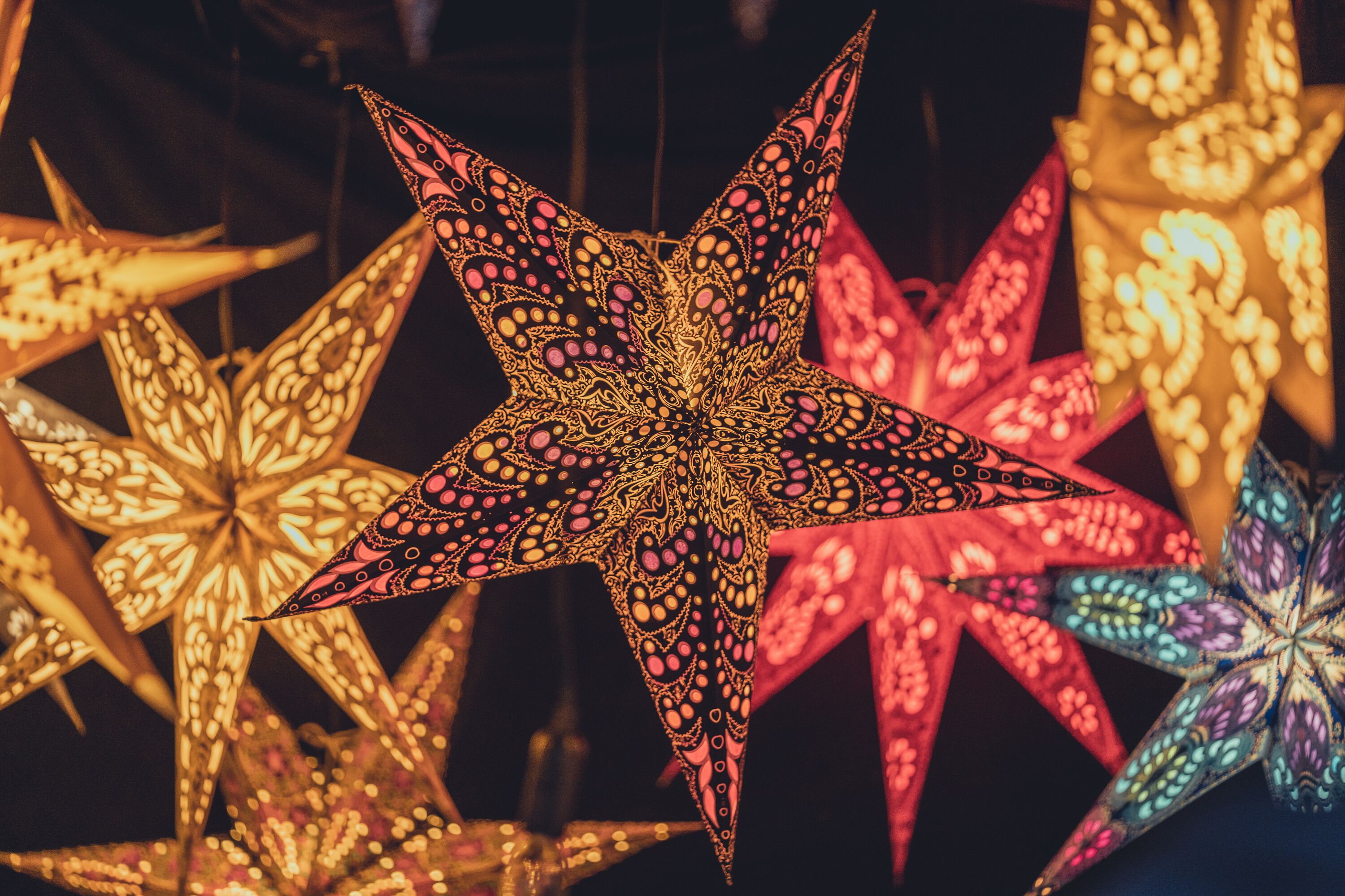 Weihnachtssterne auf Weihnachtsmarkt im Allgäu - Alpsee Camping Immenstadt