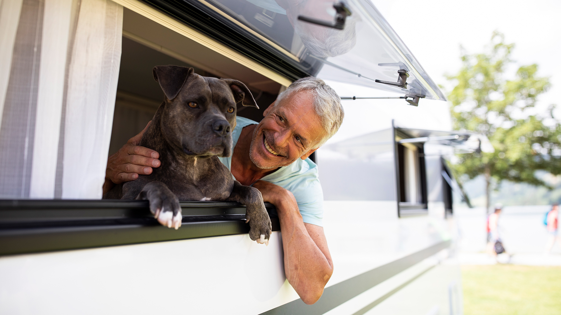 urlaub mit hund im camper