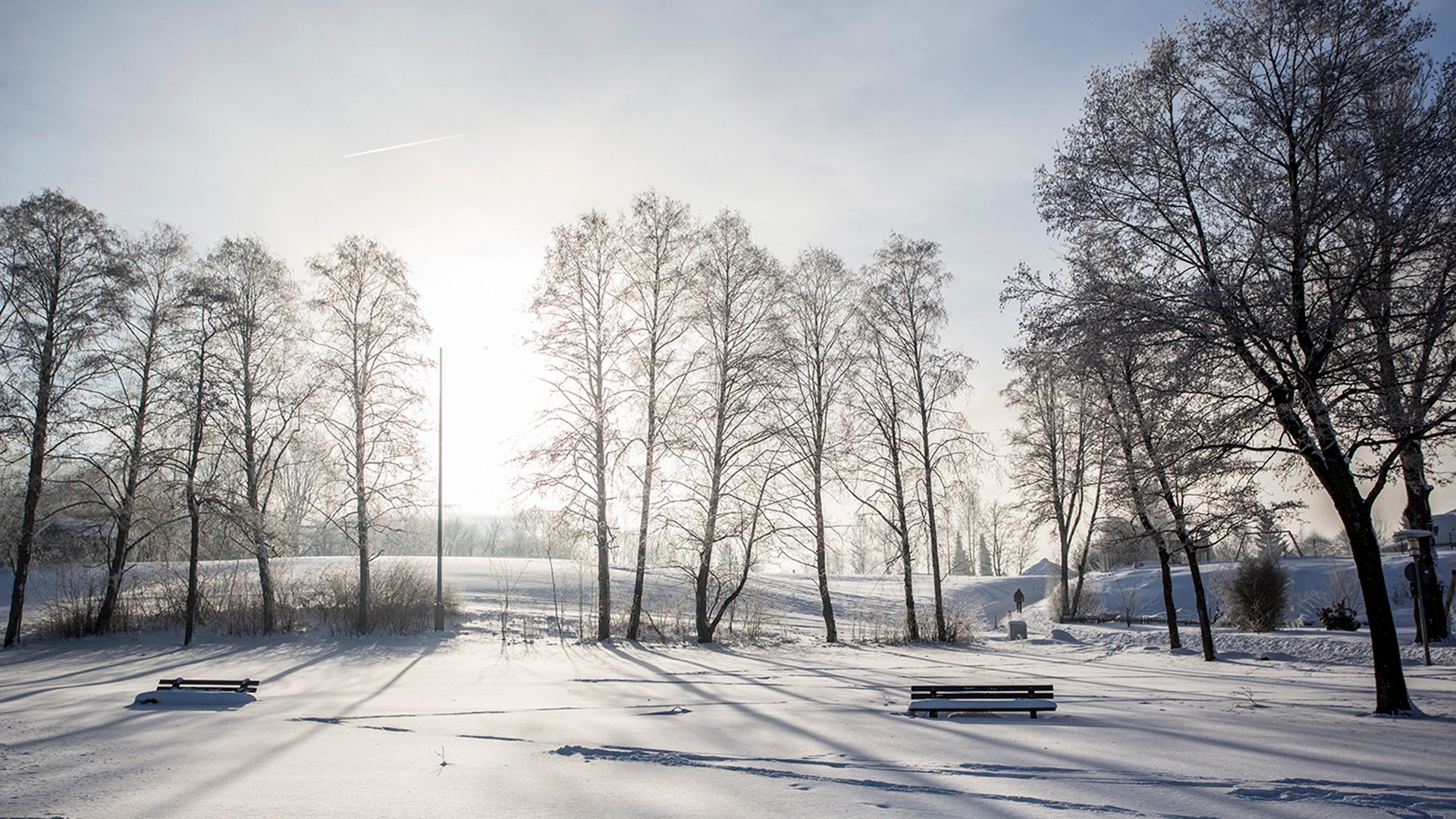 natur rund um den verschneiten alpsee im allgäu
